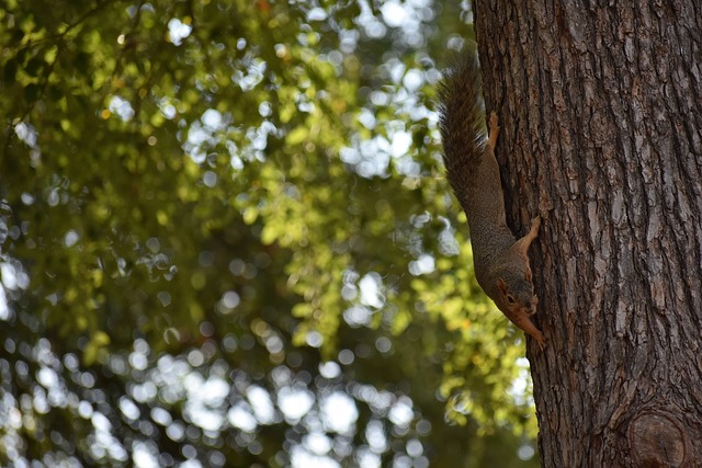 战胜了强劲 战胜了强劲