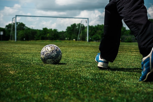 仅让中国赢 仅让中国赢