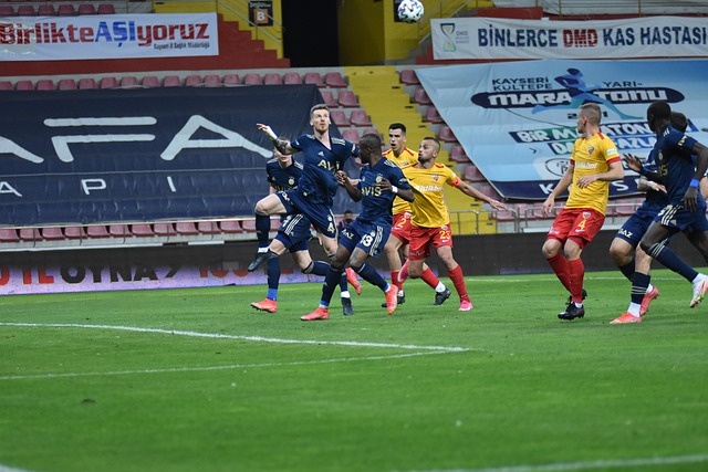 卡佩罗的批 卡佩罗的批