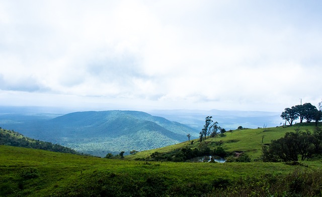 名将张继科 名将张继科