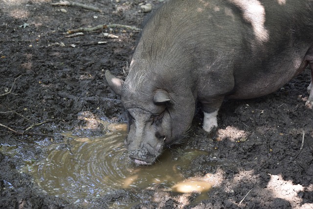 随着技术的 随着技术的