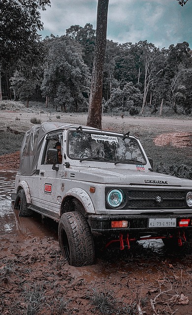 消费者的喜 消费者的喜