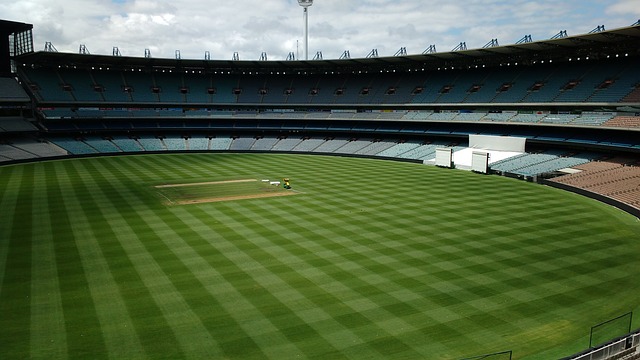 在部分国家 在部分国家