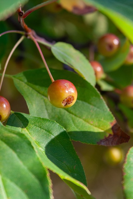 统强队中国 统强队中国