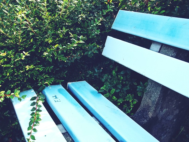 学校应该注 学校应该注