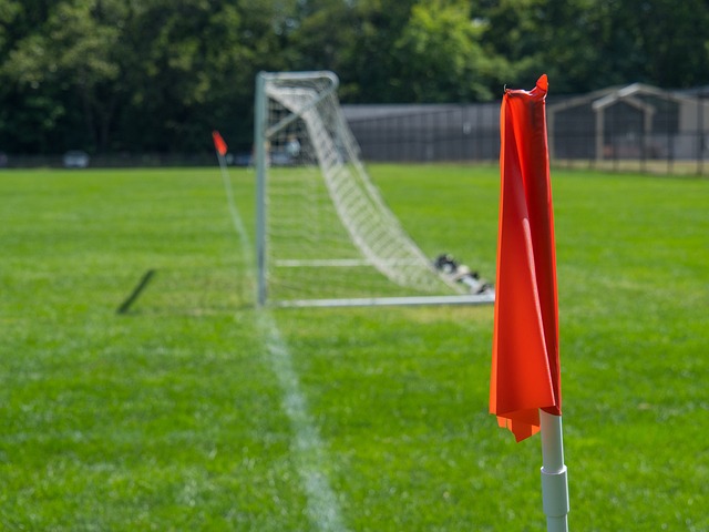 在运动领域 在运动领域